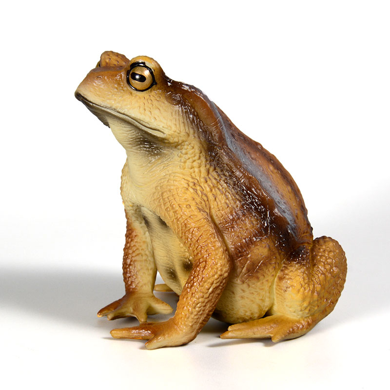 Amphibian Frog Figure Insect M - огляд і ціна Kids First Education