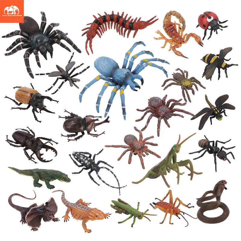 Educational Simulation Insect  - огляд і ціна Kids First Education