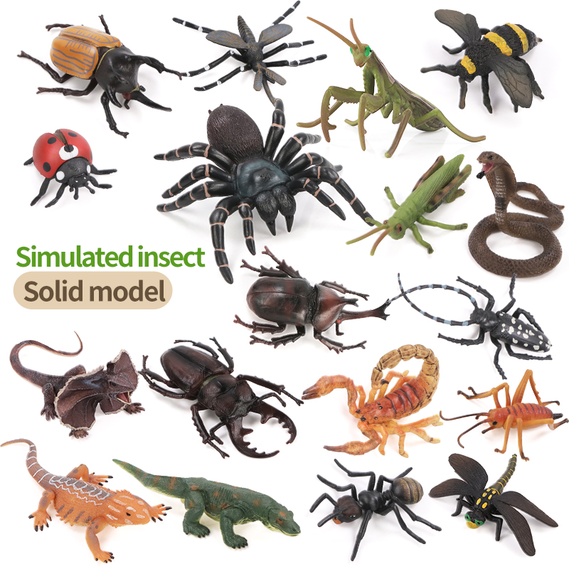 Educational Simulation Insect  - огляд і ціна Kids First Education